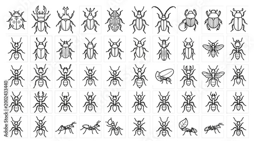 Insects Black and White Line Drawings.