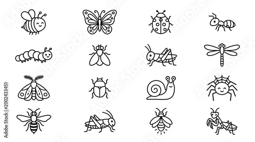 Insects and bugs line drawings.