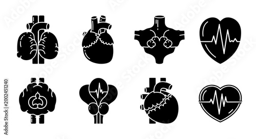 Human Anatomy Icons: Heart, Brain, Lungs and ECG Graphic - Black Silhouette
