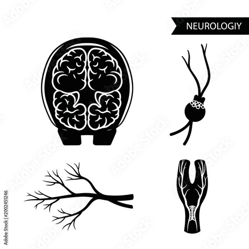 Human Brain and Nervous System Icons: Neurology Concept