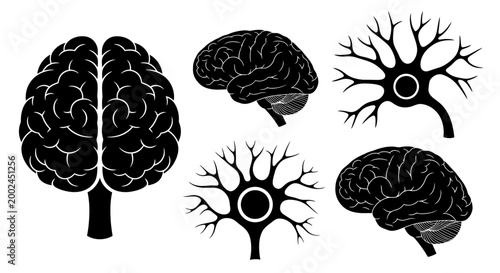 Human Brain and Neuron Illustrations - Science and Medical Graphics