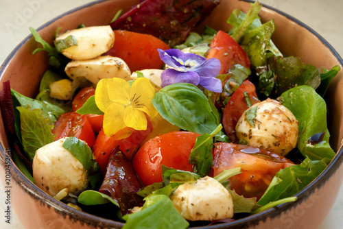 Extreme close-up of a healthy salad. Juicy tomatoes, mozzarella pearls and colorful edible pansies. Focus on fresh ingredients, texture and color