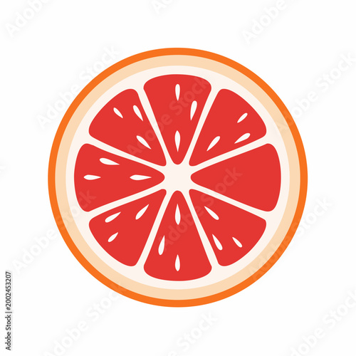 Grapefruit Slice Illustration