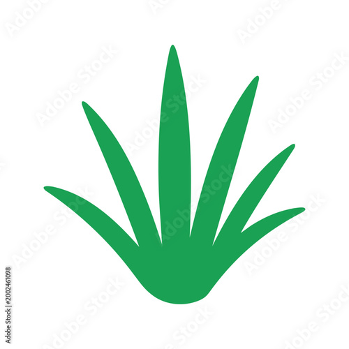 Vibrant green grass tuft with elongated leaves creates a sense of growth and freshness