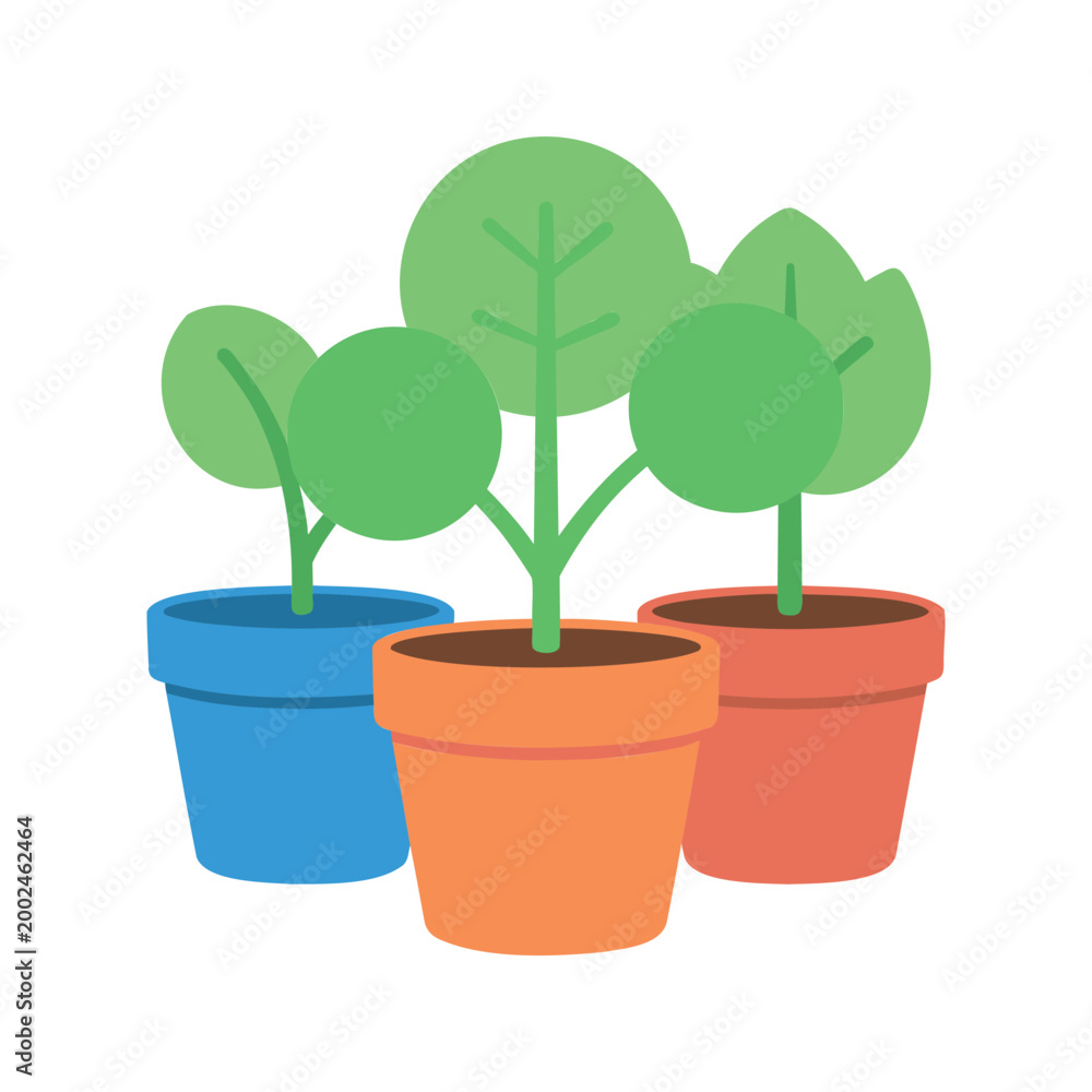 Fototapeta premium Three potted plants of different sizes and shapes arranged together in a group