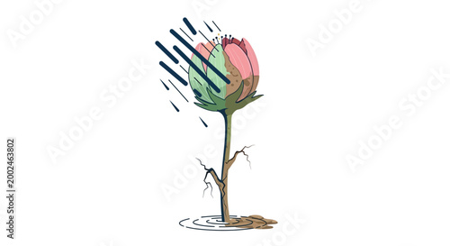 Photography A wilting flower struggling in dry earth during a storm.