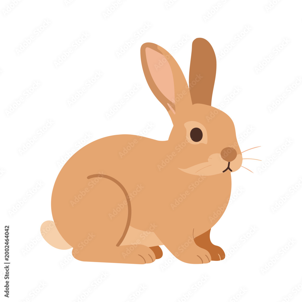 Obraz premium Cute tan rabbit sitting in a resting position on a white background