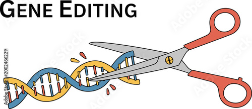 Illustration of scissors cutting a DNA strand representing gene editing technology.