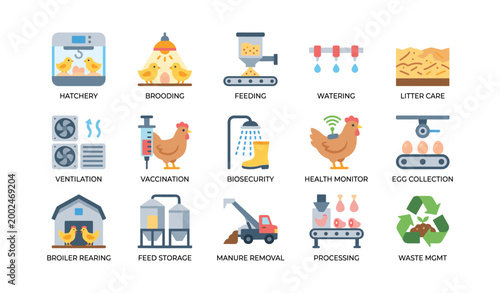 Poultry farming icons showing production tasks on white background