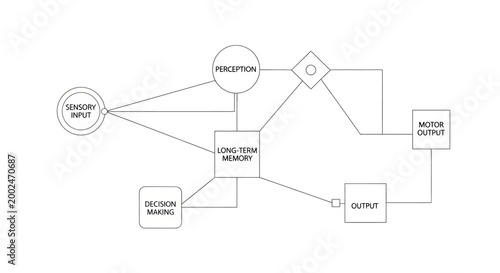 Flow chart showing cognitive processes from sensory input to motor output