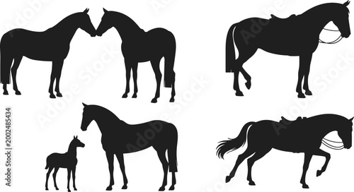 Horse silhouettes set featuring mare foal pair grazing and bridled horses in various poses isolated on white background