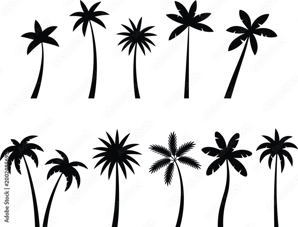 Fototapeta premium Palm tree silhouettes set with various tropical tree shapes isolated on white background for summer beach design use