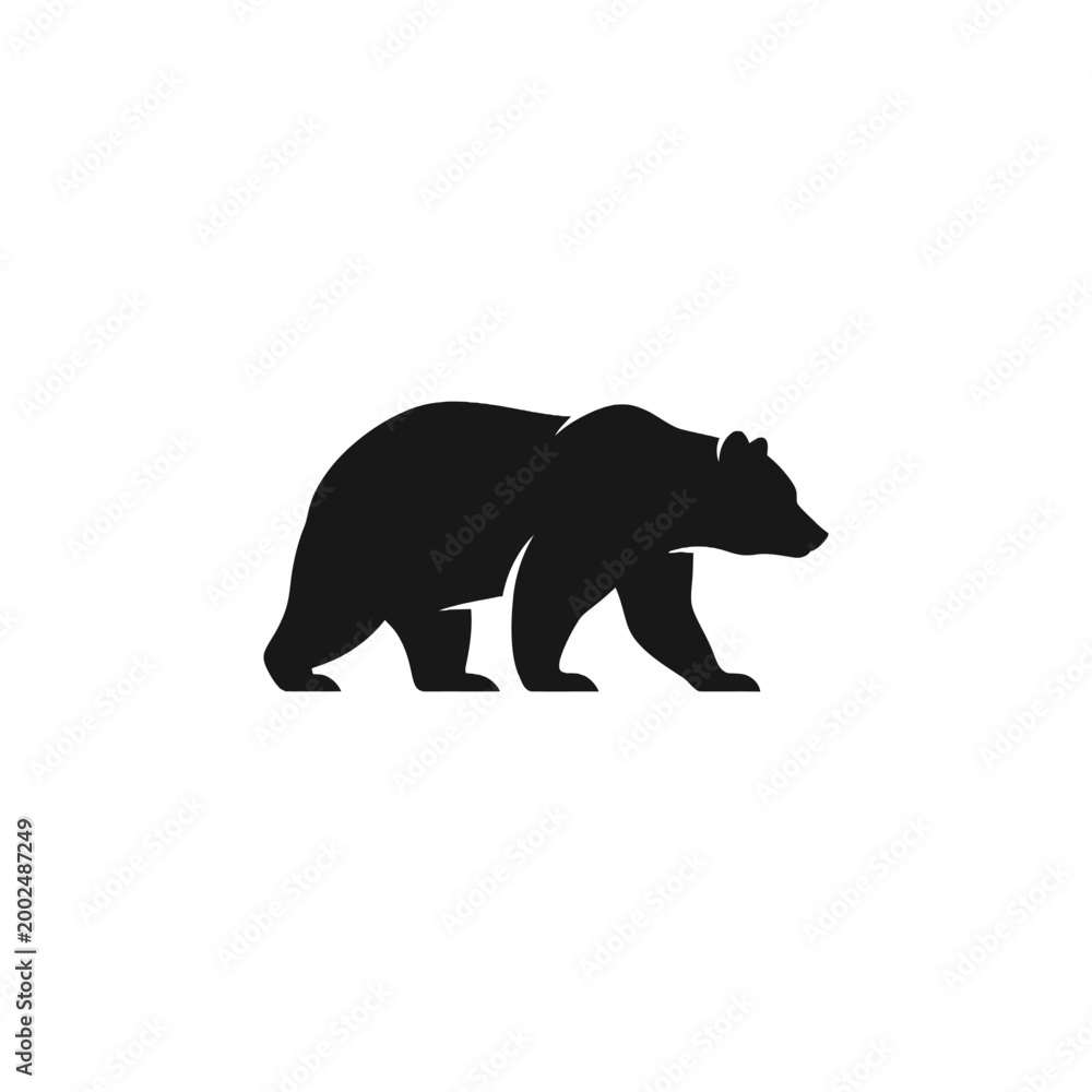 Fototapeta premium Black bear walking profile view.