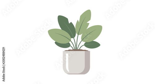Schilderij op canvas Green plant in white pot indoors.