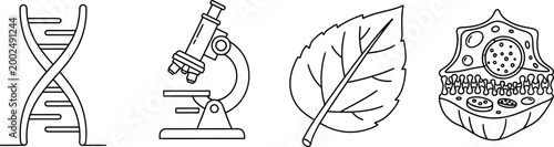 Set of four biological and scientific icons in line art style.