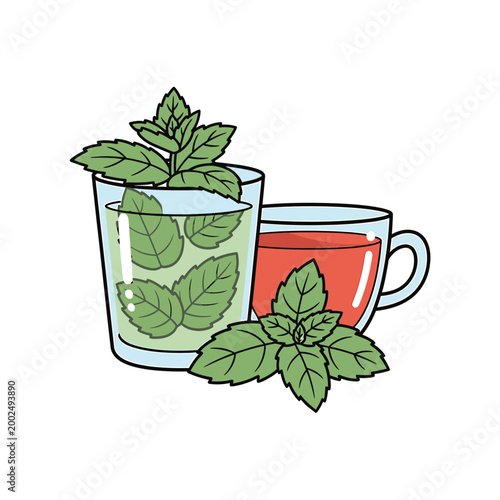 Mint herbal tea and refreshing iced drink vector illustration