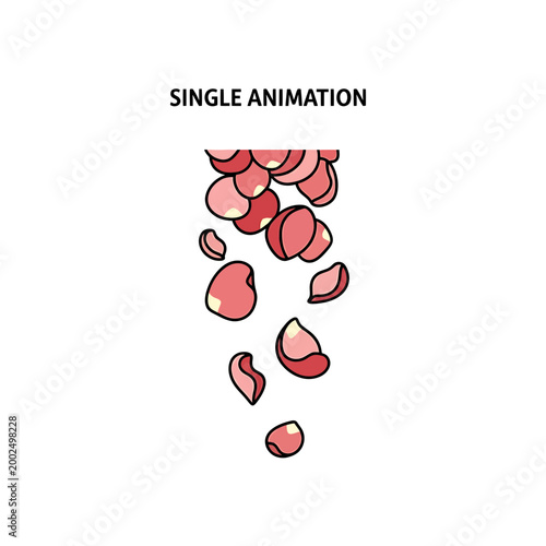 Vector illustration of falling pink flower petals on white background