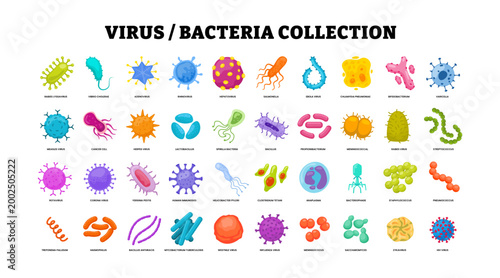 Different types of virus and bacteria set collection poster for healthcare education, Pathogenic bacteria, viruses and microbes, Disease-causing, Color germs, bacterium type, microorganism infection