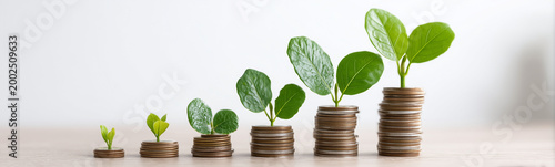 Growing Investment: A visua...