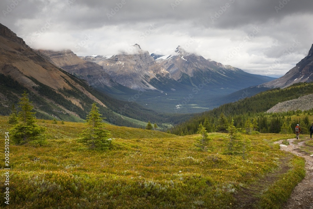 Fototapeta premium View of Mountain Peaks in Banff National Park in Canada on a Cloudy Summer Day