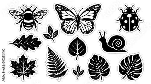 Set of minimalist black and white vector illustrations depicting garden insects and botanical leaves for a natural environment concept design elements