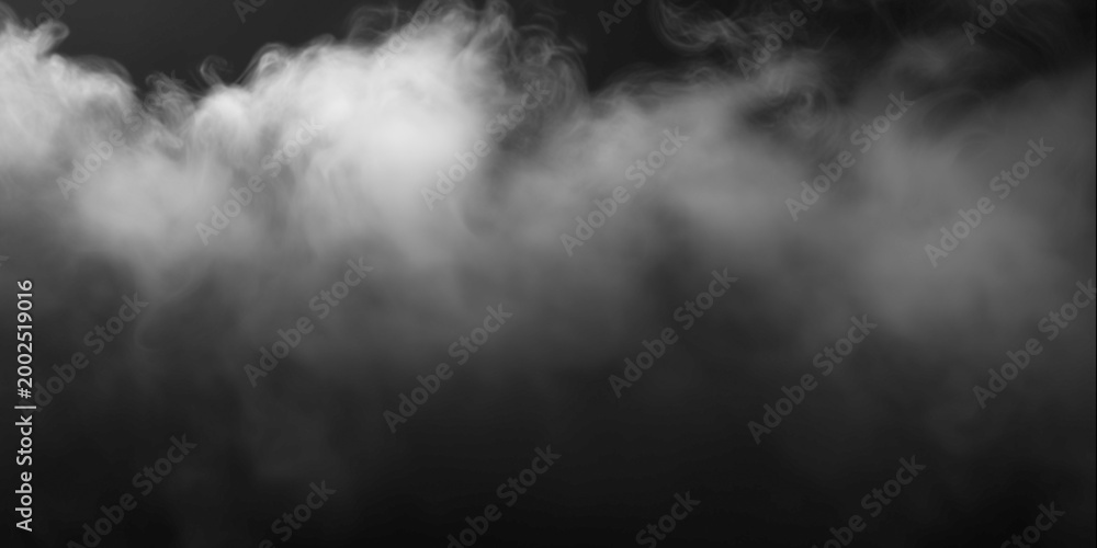 Fototapeta premium A captivating image of white smoke gracefully drifting against a stark black background. The texture adds depth, creating an ethereal and mysterious atmosphere.