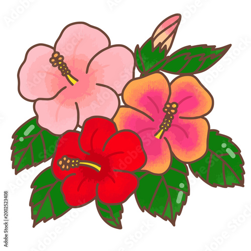 Cute hand-drawn hibiscus flowers illustration, tropical floral clipart in red pink orange, on white background