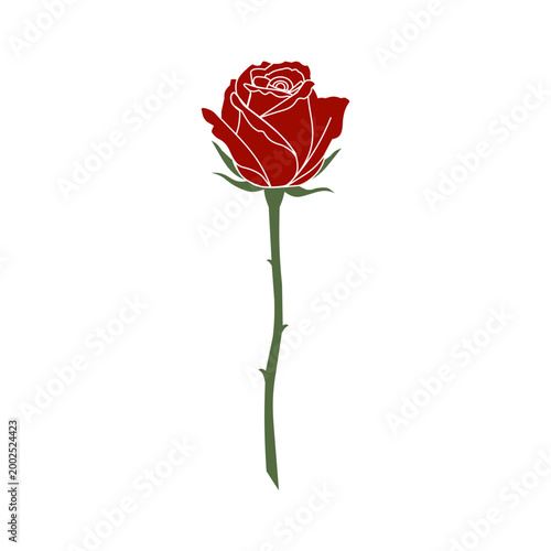 Elegant red rose symbolizing romantic love