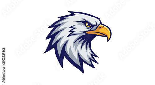 American bald eagle head illustration.