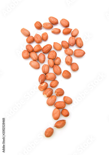 Dried peanuts in closeup on white