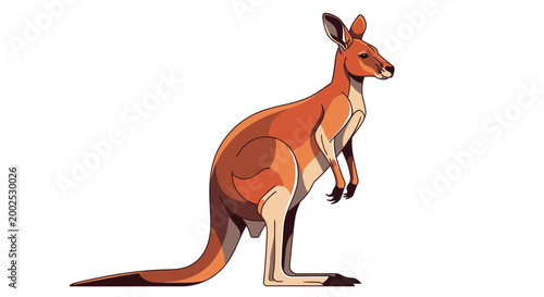 Photos Red kangaroo illustration isolated on a clean white background.