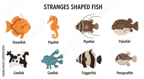Fotografie Strange shaped fish species collection.