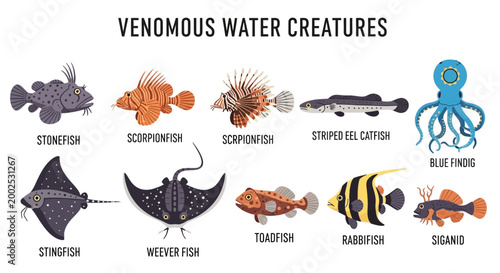 Tableau sur toile Venomous marine animals and sea creatures.