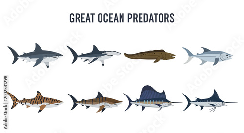 Quadro em tela Great ocean predators marine animals sharks.