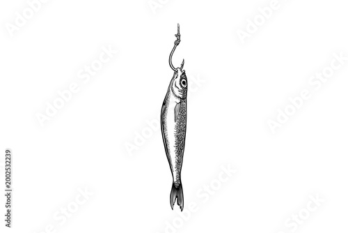 lineart illustration of fish caught on a fishing hook