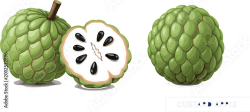 Custard apple fruit illustration with whole and sliced view showing seeds, detailed tropical food vector for healthy eating, organic produce, and nutrition design