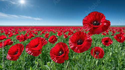 Vibrant field of red blooming poppies under a clear blue sunny sky with copy space created with Generative AI Technology, ai, generative