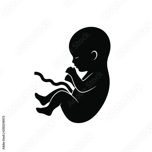 Fotografia Black silhouette of human fetus 1.