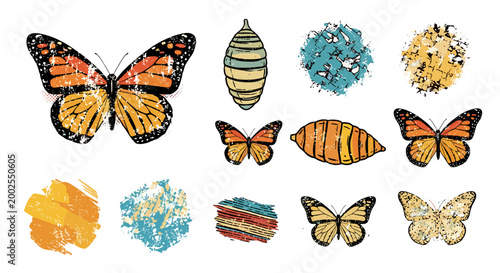 adobe Monarch butterfly life cycle stages depicted with artistic watercolor illustrations including egg larva pupa and adult butterfly alongside abstract colorful shapes flash