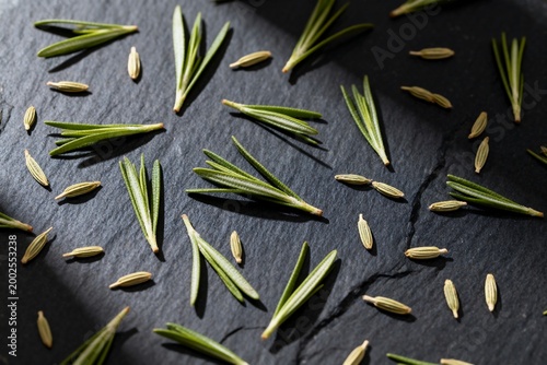 Fresh Thyme Sprigs and Juniper Berries Scattered on Dark Slate Background