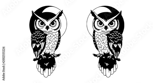 Two Black And White Owls Sitting On Branches Under A Moon