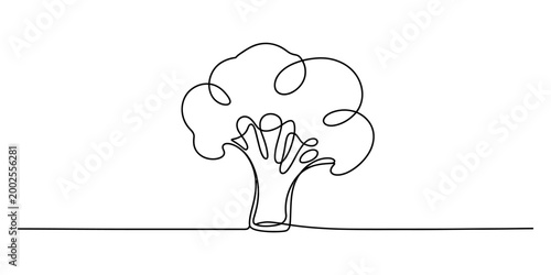 Single line drawing of a broccoli vegetable, simple and modern style