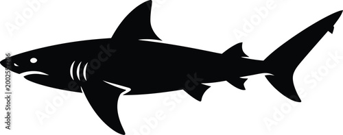 Great white shark vector illustration showing a dangerous marine predator swimming underwater isolated on a clean background