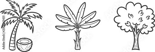 Billede på lærred Hand drawn tropical trees palm fan palm and bushy tree sketch