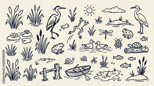 Charming hand-drawn illustration of a vibrant wetland ecosystem teeming with diverse wildlife and aquatic elements