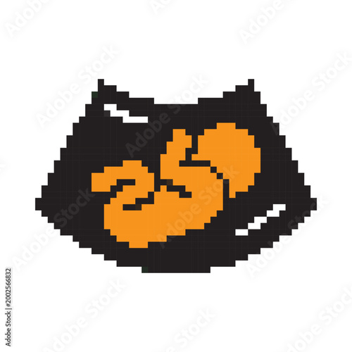 Pixel art of a baby in ultrasound or sonogram image on a black screen. Vector illustration.