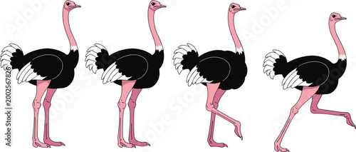 Ostrich Icon Set Featuring Walking, Running, and Posing Birds for Wildlife, Nature, and Animal Illustration Designs