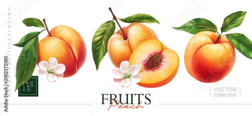 Konstfotografi Isolated illustrations of sweet peaches