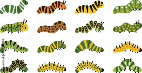 Photos Colorful Caterpillars Set in Flat Style, Collection of Cute Insect Larvae in Dif