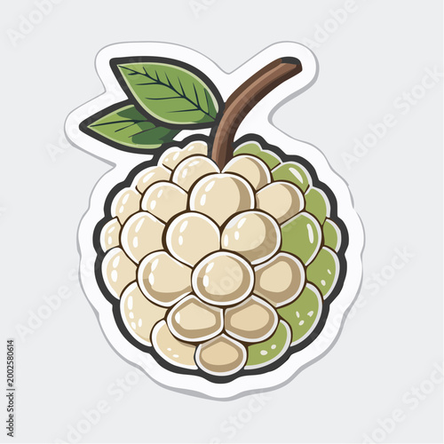Custard Apple Fruit Illustration